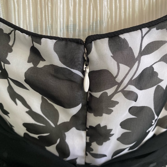 Beautiful Dress Barn Lined Black and White Frock - Picture 7 of 11